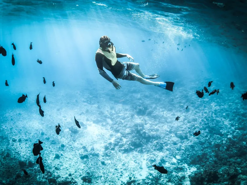 Persona haciendo esnórquel entre peces en agua transparente