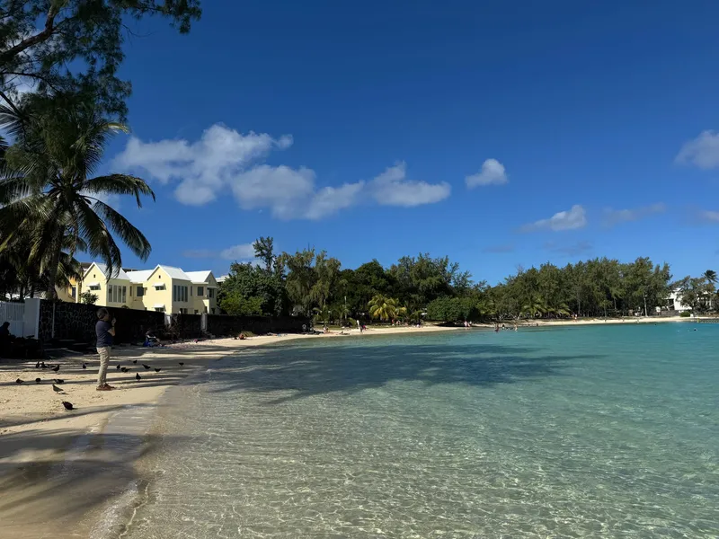 Shallow clear water and shady trees at Blue Bay beach