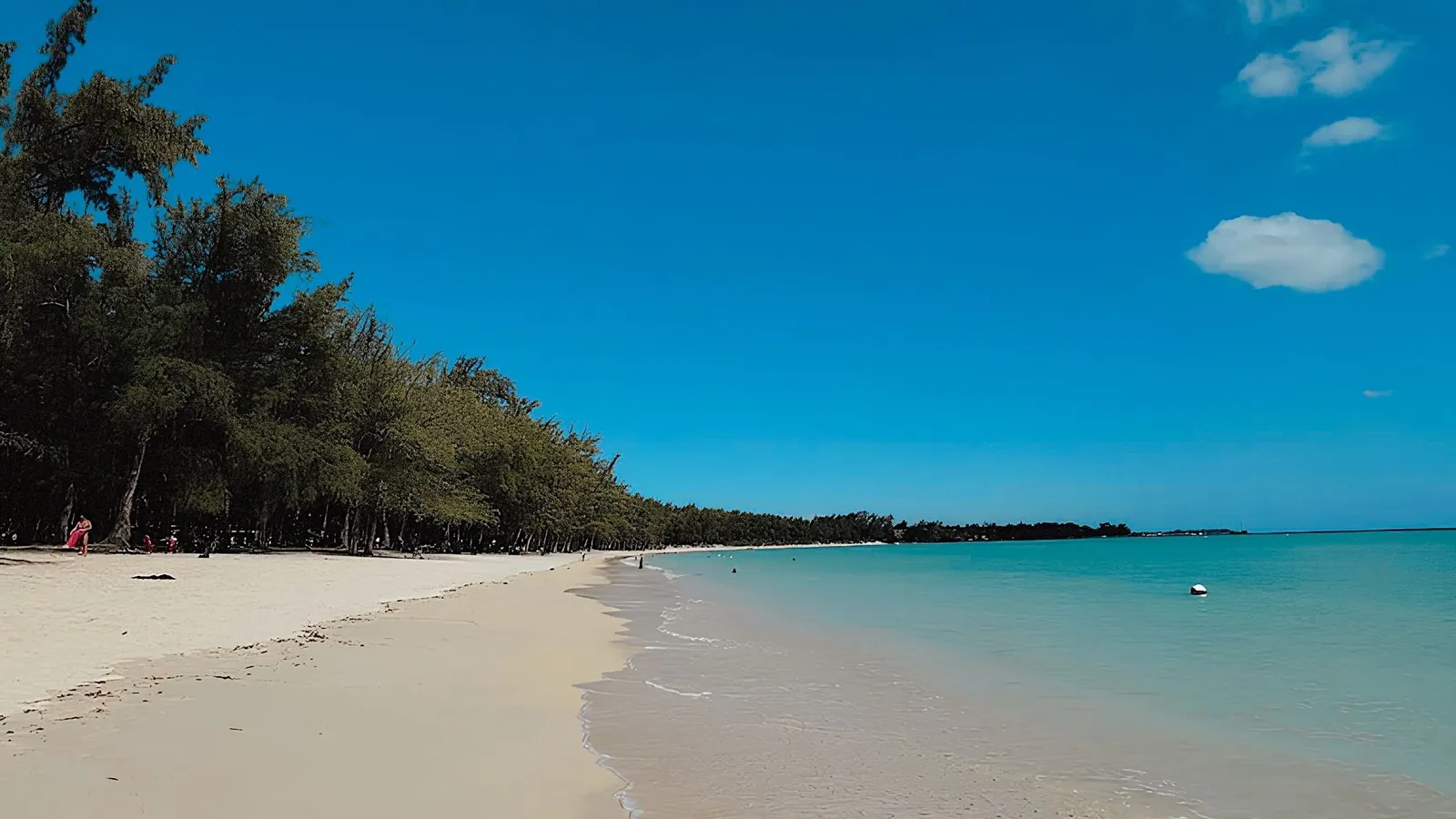 Tropischer Strand mit feinem Sand und Bäumen
