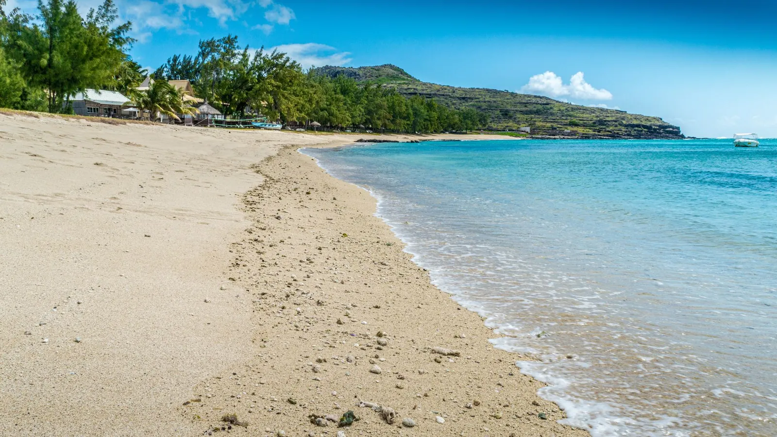 Ruhiger Sandstrand mit Bäumen und klarem Wasser