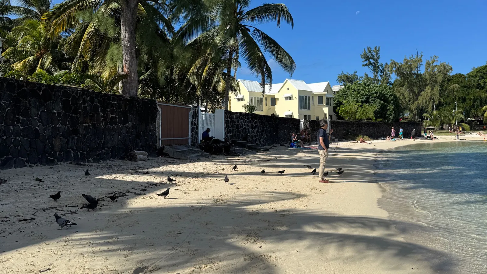 Shady beach with palm trees at Blue Bay, Mauritius